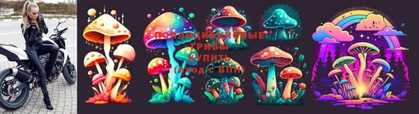2c-b Балахна