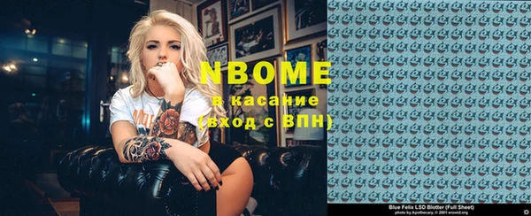 индика Белокуриха
