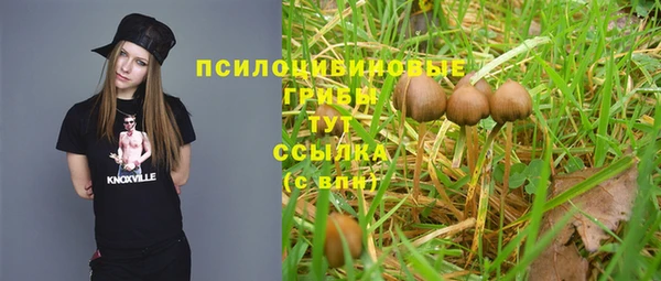 прущие грибы Балабаново